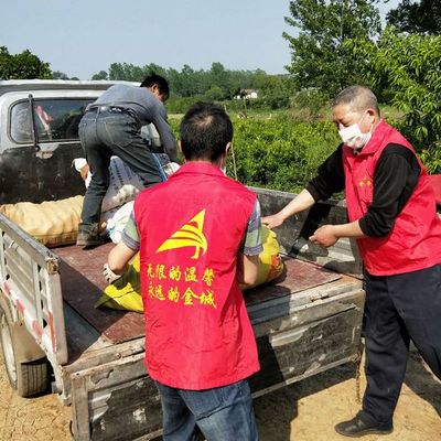 幫賣助農(nóng) 用愛扶貧——金城紅馬甲赴子陵采購愛心農(nóng)產(chǎn)品活動(dòng)紀(jì)實(shí)